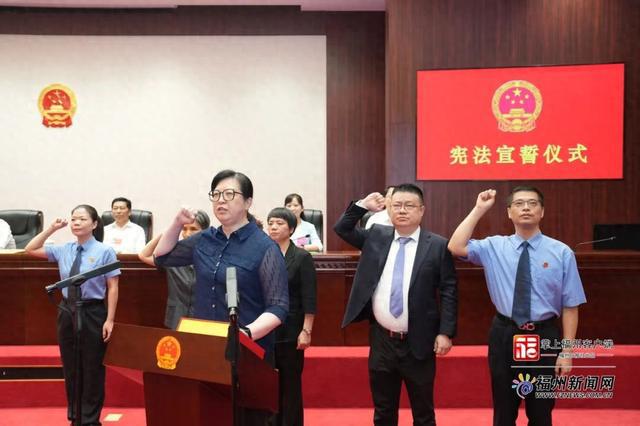 張慧宇最新任免全程解析，從入門到進階的實用指南