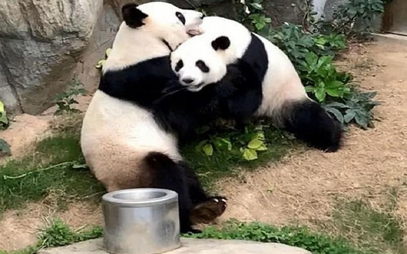 科技引領(lǐng)抗疫新時(shí)代，全球最新疫情概況