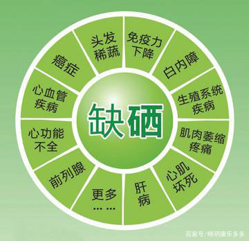 硒鏈最新消息,重磅推出硒鏈，科技新星，引領(lǐng)健康生活新紀(jì)元