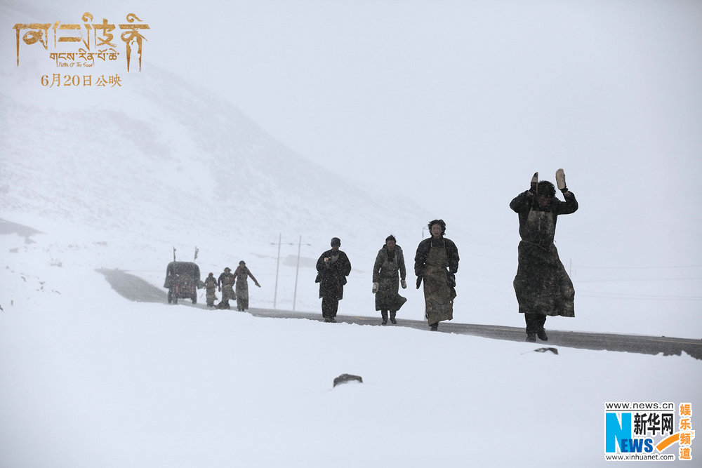 崗仁波齊最新票房,崗仁波齊的神秘之旅，票房背后的溫馨故事