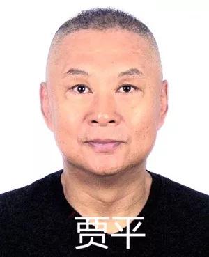 賈平演員，小巷深處的寶藏探索與特色小店的魅力之旅