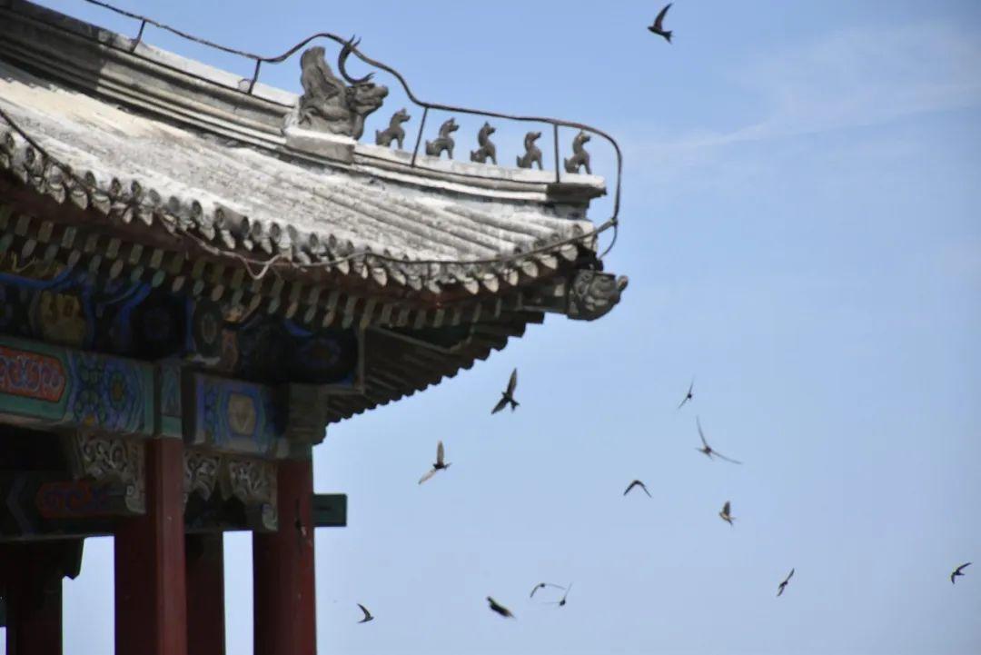 北京鋼筋價格表揭秘，小巷特色小店的價格概覽