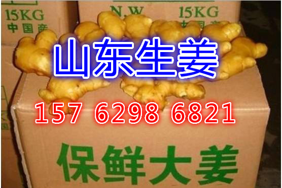 今日生姜最新價(jià)格行情,今日生姜最新價(jià)格行情分析