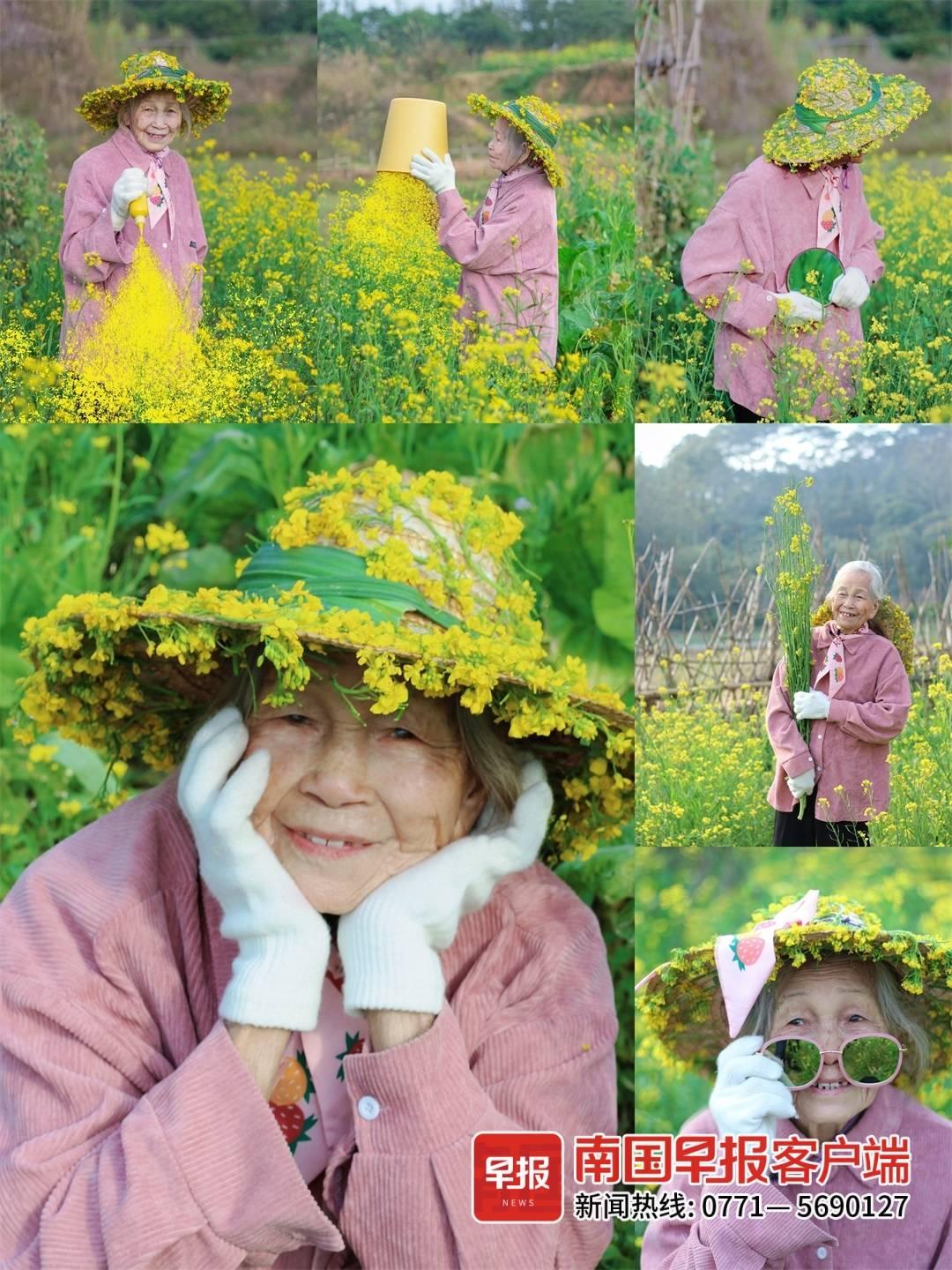 南風(fēng)與玫瑰最新章節(jié)探秘，揭秘未知的秘密