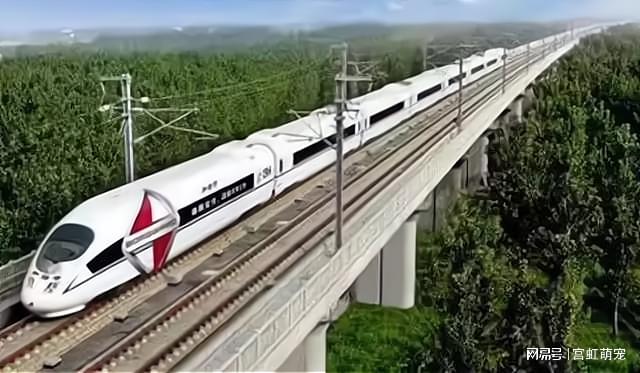 2025香港開獎記錄,實(shí)踐調(diào)查說明_交互式版62.477