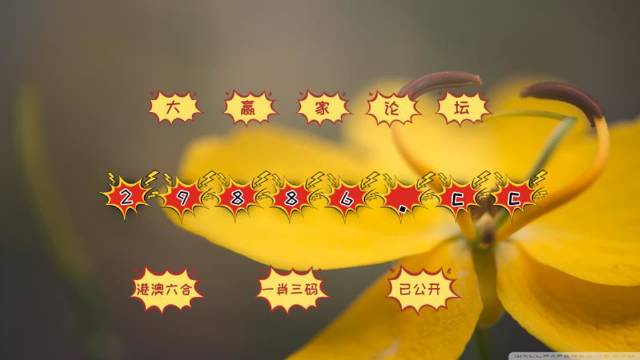 新澳門4949六開彩,實證分析詳細(xì)枕_專業(yè)版62.791