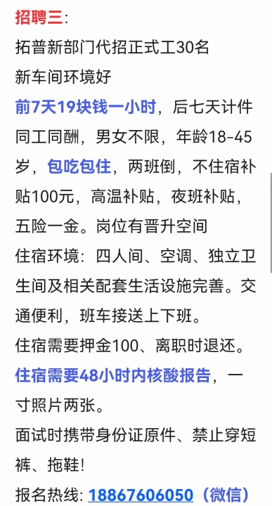最新臨時招聘的利弊分析與個人視角觀察