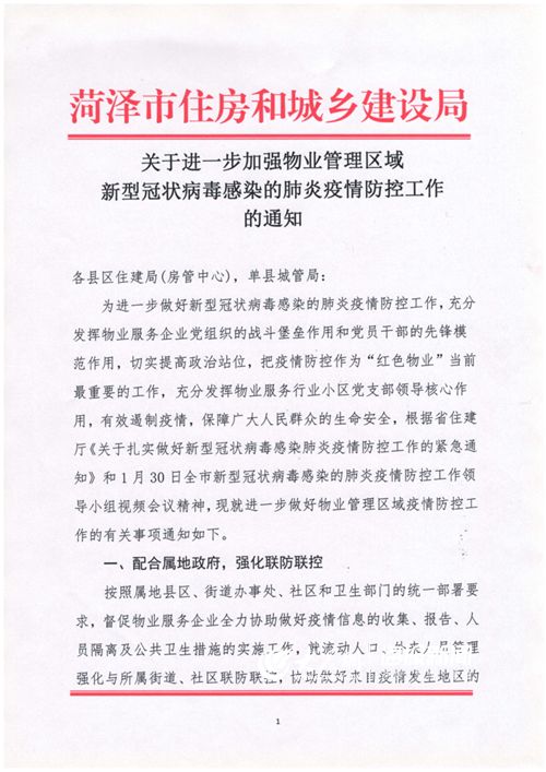 菏澤科技新品亮相，引領未來生活新潮流