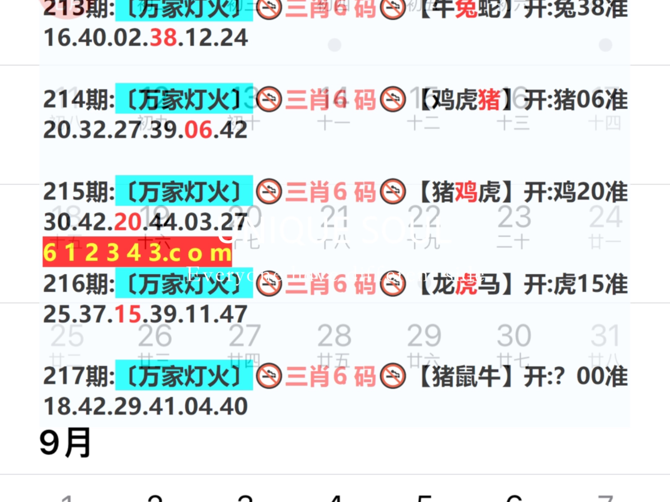 2025新澳一碼一特944,目前現(xiàn)象解析描述_先鋒實踐版38.535