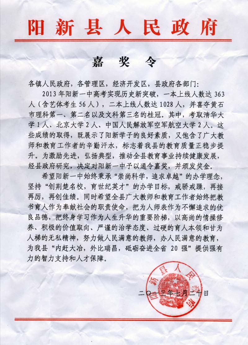 陽新最新公告揭秘，日常故事中的溫情與歡笑時刻