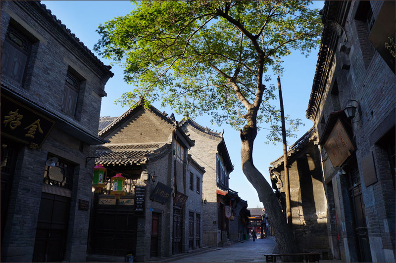 周村最新動態(tài)，自然美景探索之旅，重拾內(nèi)心寧靜與平和