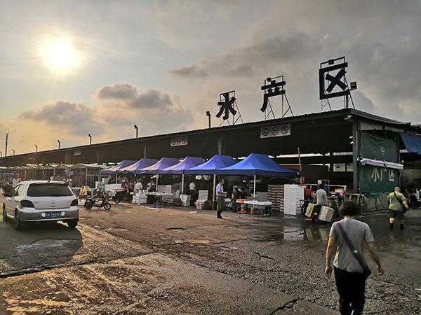 上海熱門水產(chǎn)市場概覽，最新市場盤點與趨勢分析