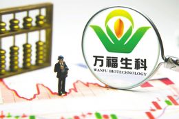萬福生科上市步驟詳解，初學(xué)者與進(jìn)階用戶指南