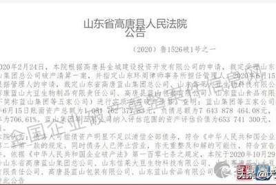 高唐藍山存款最新動態(tài)更新！