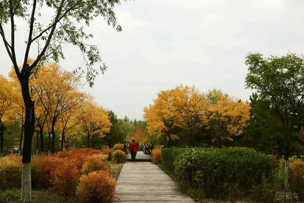 大同公園一號，科技革新重塑生活體驗的最新動態(tài)