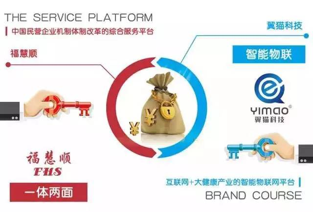 福慧順劉軍最新動(dòng)態(tài)揭秘，小巷中的獨(dú)特風(fēng)味