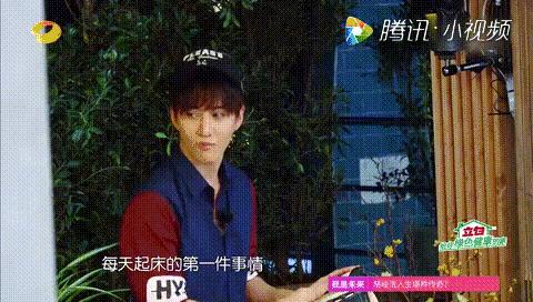 Nanhongyok最新動(dòng)態(tài)，多方觀點(diǎn)下的深度探討
