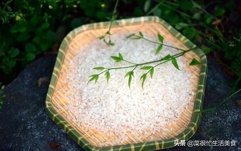 熱門兒歌變遷概覽，最新排名與影響分析