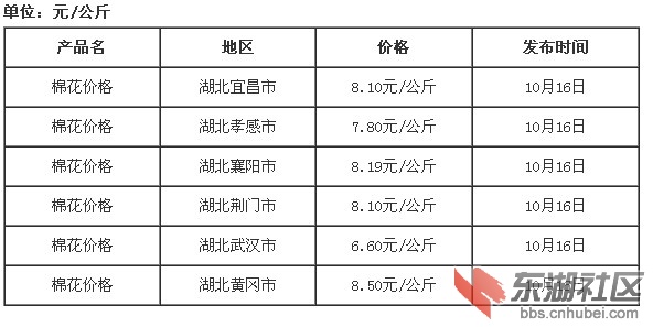 緬花最新價格探討，多元視角的論述與深度解析