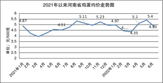 河南蔬菜最新價格，市場變化中的價格動態(tài)與我們的關(guān)注焦點