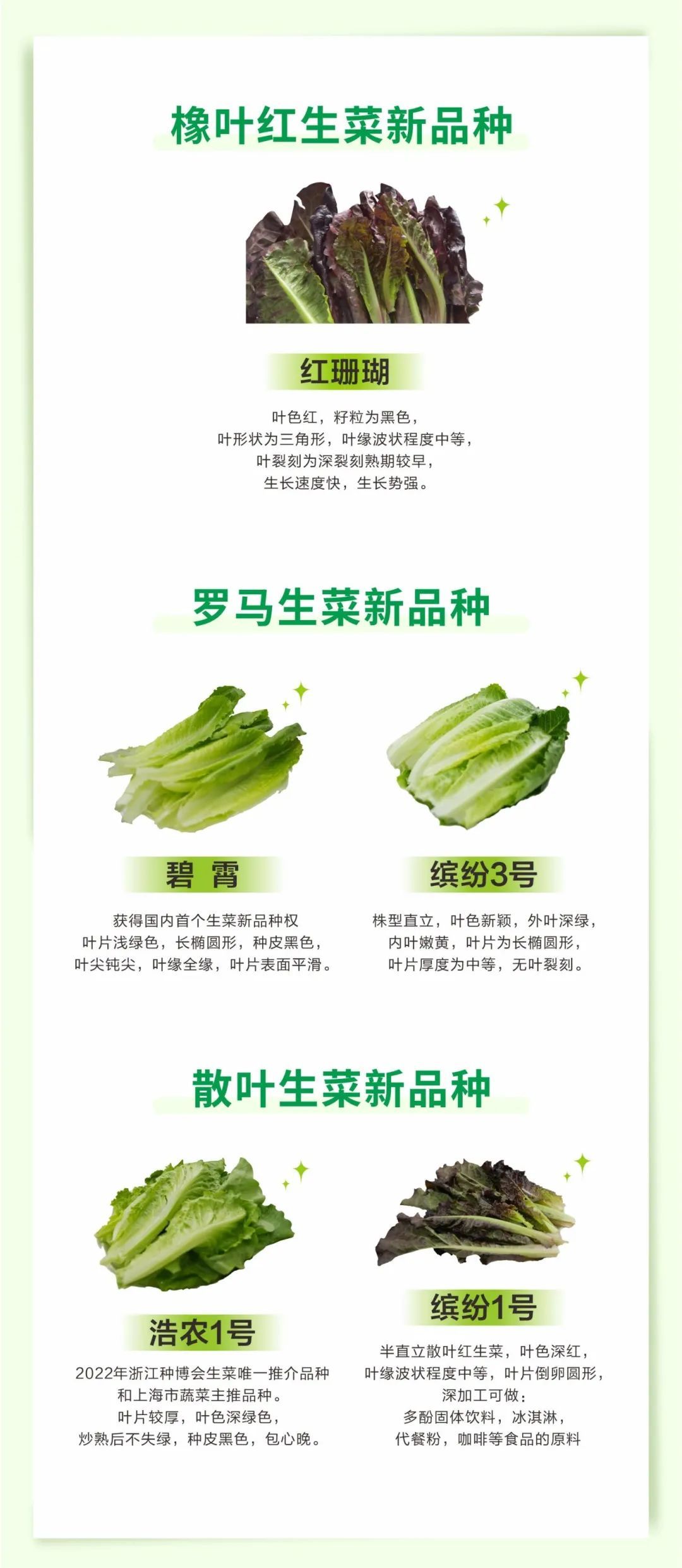 濟(jì)南隔墻板 第12頁