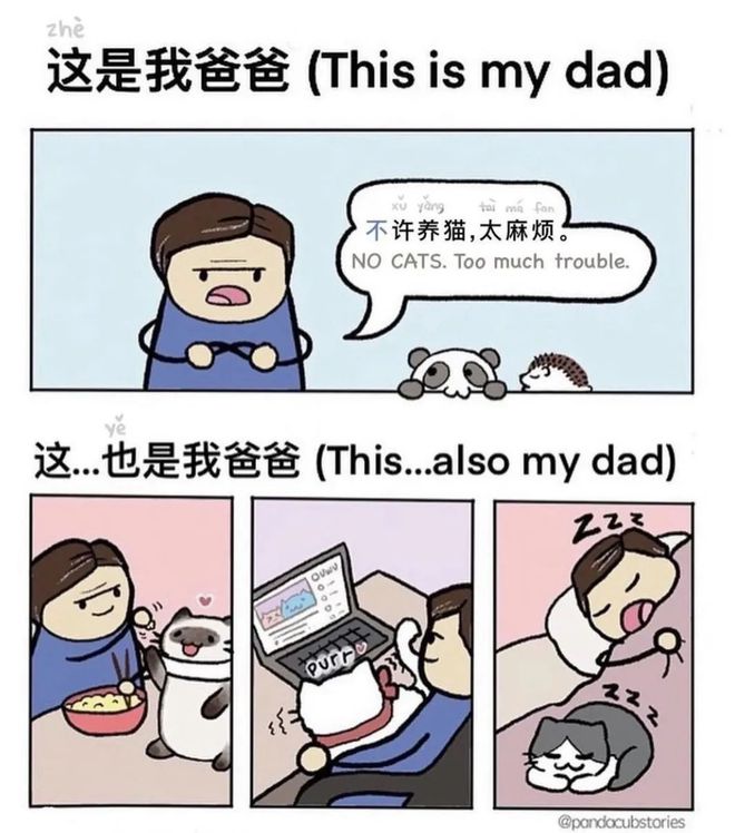 Linda漫畫最新，變化的力量，自信與成就感的源泉啟航