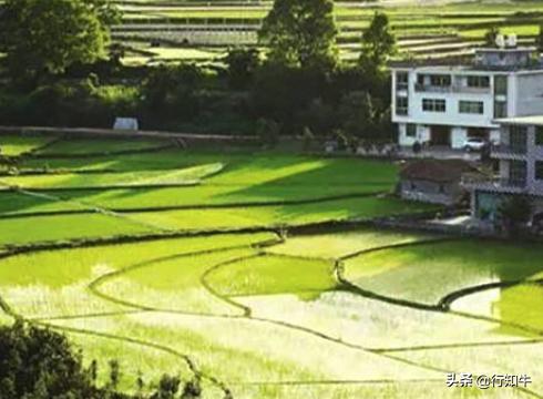 最新小本投資項(xiàng)目深度探討，投資機(jī)遇與挑戰(zhàn)并存