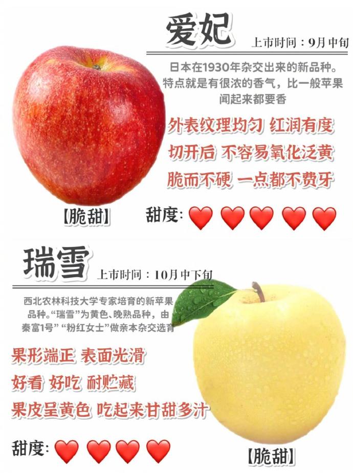 獨(dú)家揭秘，最新蘋果品種一覽，讓你一飽眼福的蘋果盛宴！