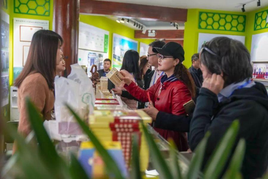 博羅最新新聞熱點及觀點論述