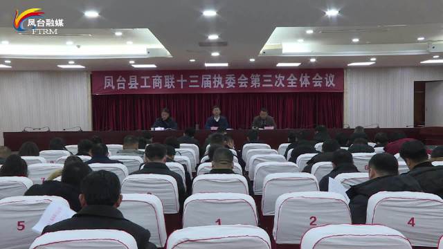 鳳臺最新新聞，多維度視角探討城市發(fā)展觀點(diǎn)聚焦