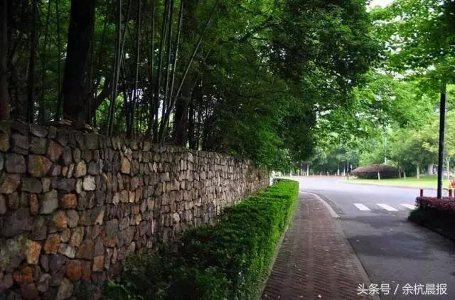 閑林最新規(guī)劃，家的溫馨與友情的交織紐帶