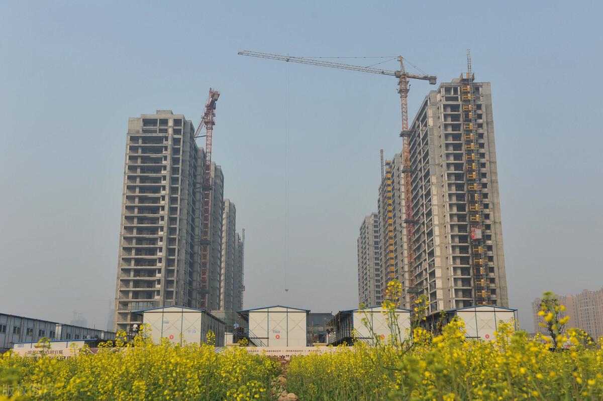 廈門最新房源與探索自然美景之旅，尋找心靈棲息地