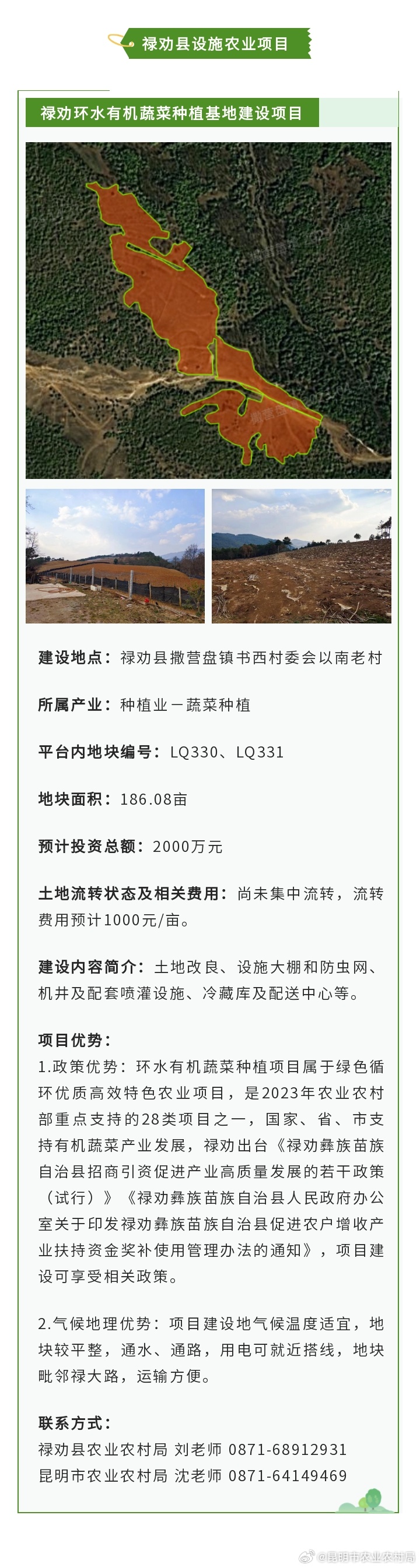 新時(shí)代財(cái)富探索，最新致富好項(xiàng)目指南