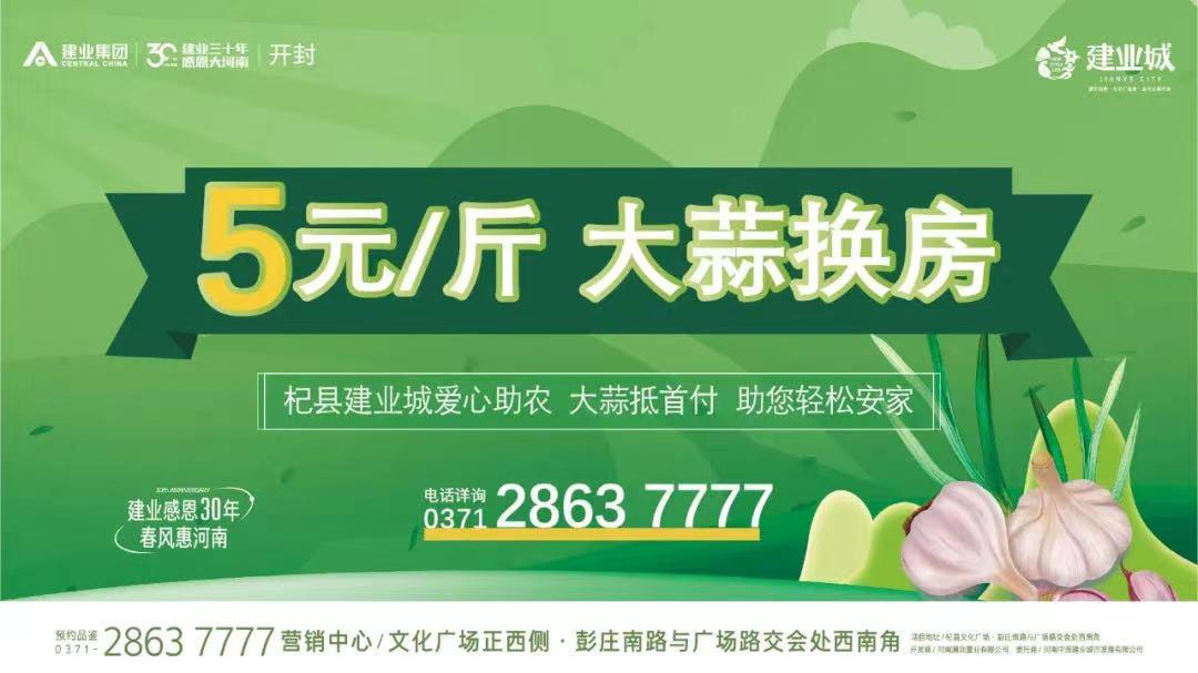 杞縣最新新聞，城市中的溫情日常