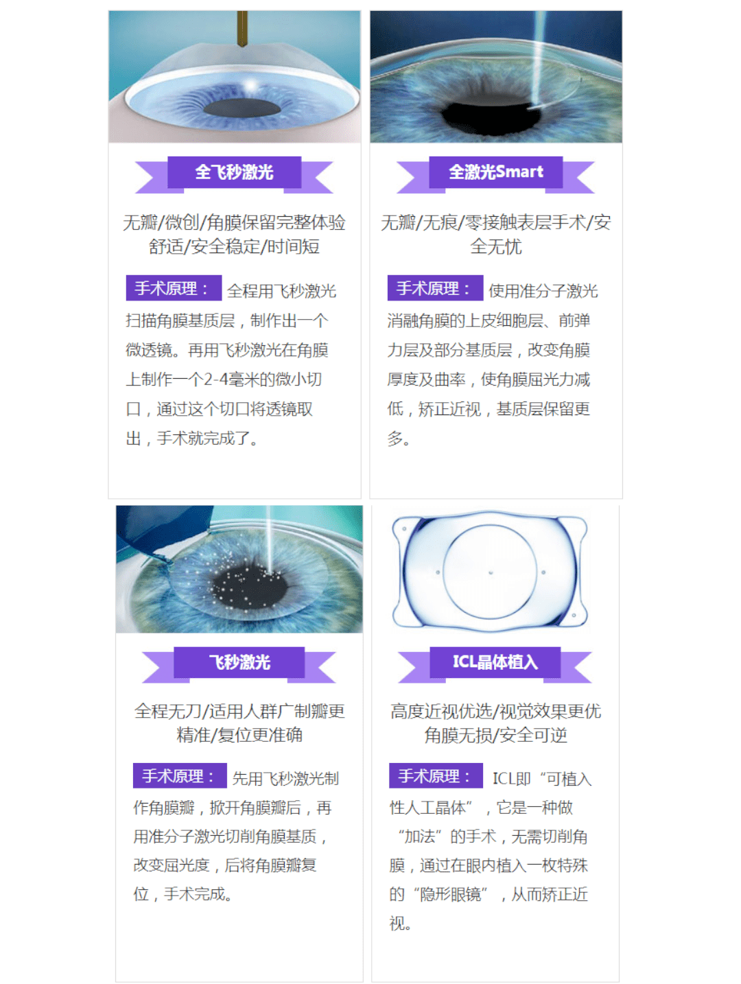 第12頁(yè)