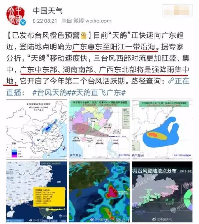 臺(tái)風(fēng)天鴿最新動(dòng)態(tài)，逆風(fēng)翱翔，展現(xiàn)學(xué)習(xí)中的自信與成就之光